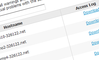 Access log screenshot from stats manager